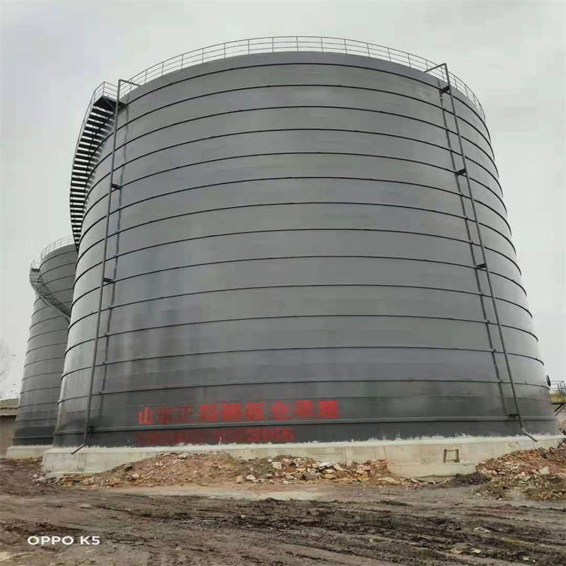 洮北3万吨大型钢板库